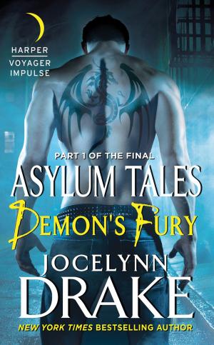 Cover of the book Demon's Fury by Stacey Berg