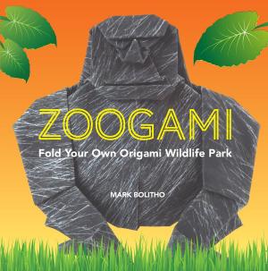 bigCover of the book Zoogami by 