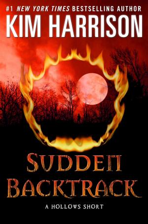 Cover of the book Sudden Backtrack by Ruth Vincent