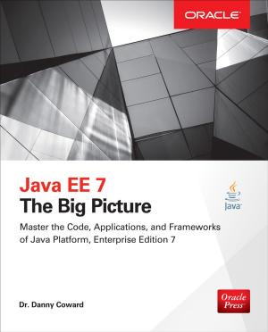 bigCover of the book Java EE 7: The Big Picture by 