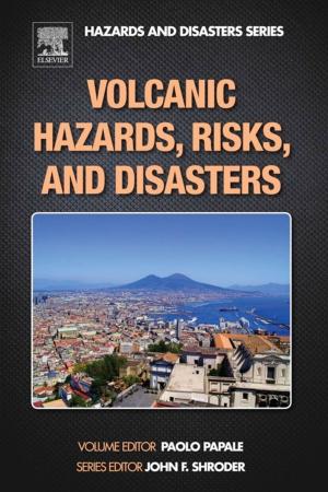 Cover of the book Volcanic Hazards, Risks and Disasters by Ronald W. Mehler
