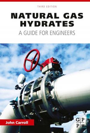 Cover of the book Natural Gas Hydrates by Philip L. Yeagle