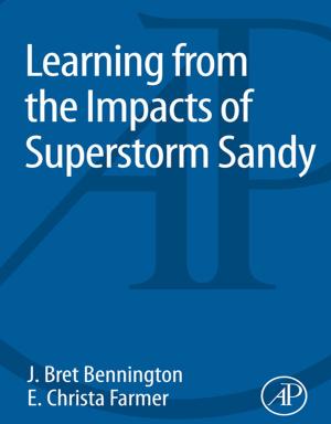 Cover of the book Learning from the Impacts of Superstorm Sandy by Valeriy V Choogin, Palitha Bandara, Elena V Chepelyuk