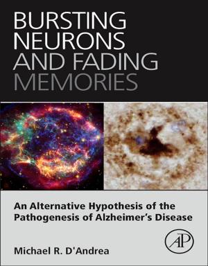 Cover of the book Bursting Neurons and Fading Memories by Kwang W. Jeon