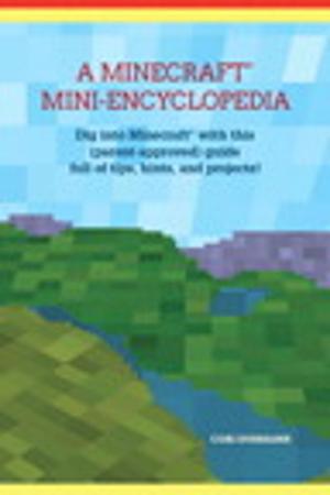 Cover of the book A Minecraft Mini-Encyclopedia by Michael N. Kahn CMT