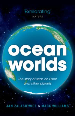 Cover of the book Ocean Worlds by Herman Melville