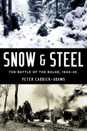 Cover of the book Snow and Steel by George C. Davis, Elena L. Serrano