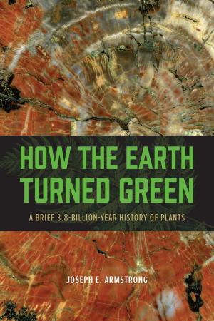 Cover of the book How the Earth Turned Green by 马金勇