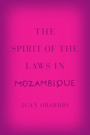 Cover of the book The Spirit of the Laws in Mozambique by David Charles Sloane