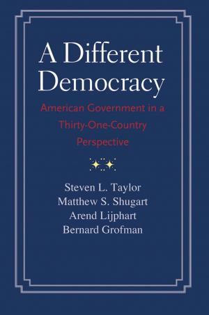 Cover of the book A Different Democracy by Steve Pincus
