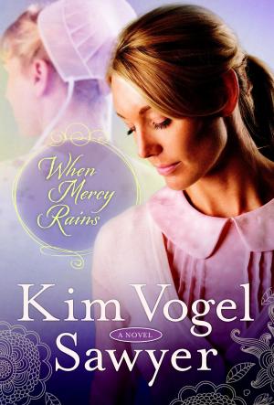 Cover of the book When Mercy Rains by Misty D. Waters