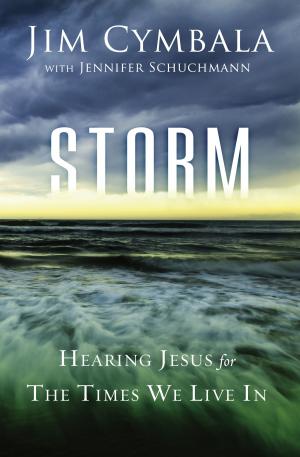 Cover of the book Storm by Rebecca Barlow Jordan