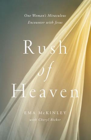 Cover of the book Rush of Heaven by Melissa Trevathan, Helen Stitt Goff