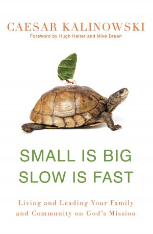 Cover of the book Small Is Big, Slow Is Fast by John Ortberg
