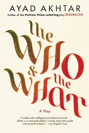 Cover of the book The Who & The What by Flavio Stroppini