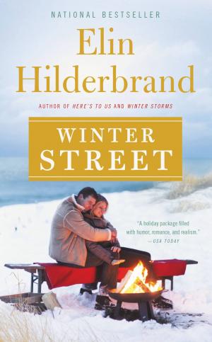 bigCover of the book Winter Street by 