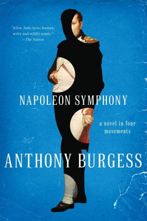 Cover of the book Napoleon Symphony: A Novel in Four Movements by Dafydd ab Hugh