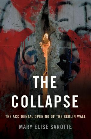 Cover of the book The Collapse by Glyn Moody
