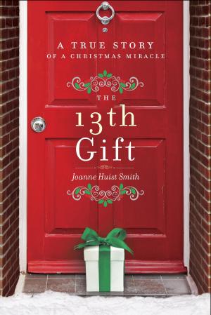 Book cover of The 13th Gift