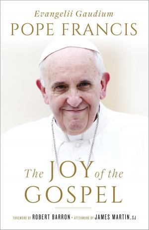 Cover of The Joy of the Gospel