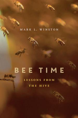 Cover of the book Bee Time by Adam Rothman