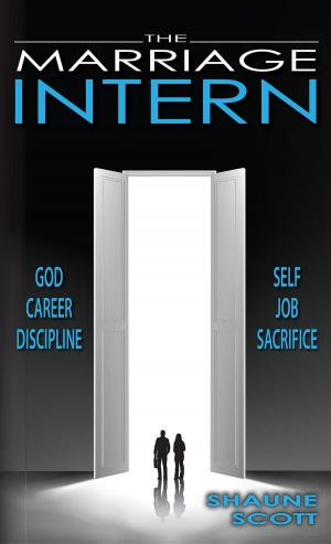 Cover of the book The Marriage Intern by M. Thayer Berlyn