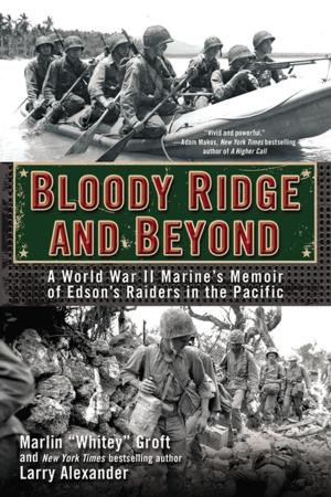 Cover of the book Bloody Ridge and Beyond by Josephine Allen
