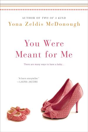 Book cover of You Were Meant For Me