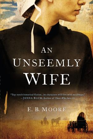 bigCover of the book An Unseemly Wife by 