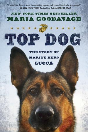 Cover of the book Top Dog by Danielle Evans
