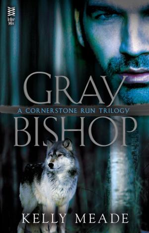 Cover of the book Gray Bishop by Jeffery Deaver