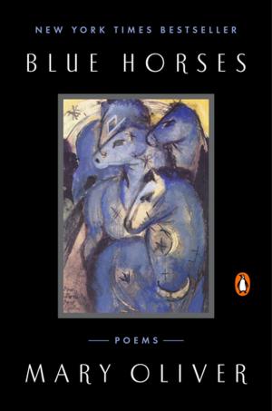 Cover of the book Blue Horses by Amy Epstein Feldman, Robin Epstein
