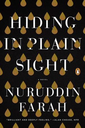Cover of the book Hiding in Plain Sight by Vashti M. McKenzie