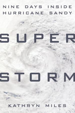 Cover of the book Superstorm by Paul Glovinsky, Art Spielman