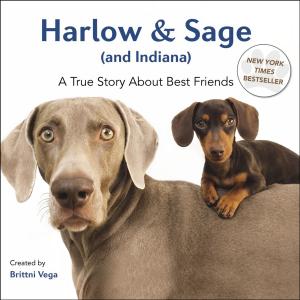 Cover of the book Harlow & Sage (and Indiana) by Jennie Bentley
