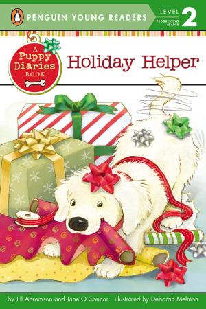 Cover of the book Holiday Helper by Caralyn Buehner