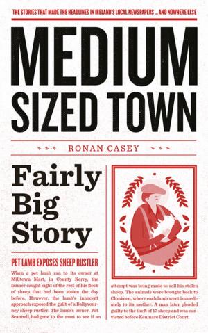 Cover of the book Medium-Sized Town, Fairly Big Story – Hilarious Stories from Ireland by Rose Dolan, BA (mod), HDipED, Dr Brendan Walsh, BA, HDipEd, DipMont, Med, PhD