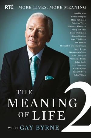 Cover of the book The Meaning of Life 2 – More Lives, More Meaning with Gay Byrne by Robert Schwartz