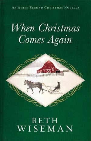 Cover of the book When Christmas Comes Again by Ted Dekker