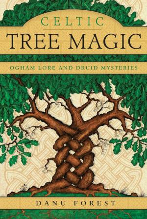 Cover of the book Celtic Tree Magic by Becky Clark