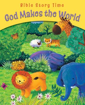 bigCover of the book God Makes the World by 
