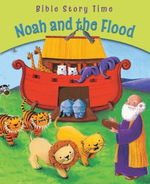 Cover of the book Noah and the Flood by Juliet David, Elina Ellis
