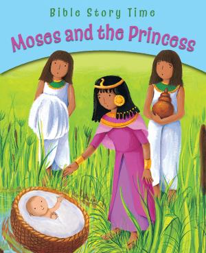 bigCover of the book Moses and the Princess by 