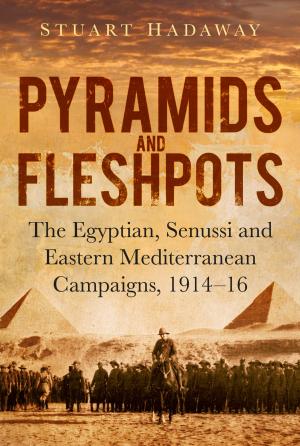Cover of the book Pyramids and Fleshpots by Robert Maloubier, Tania Szabó