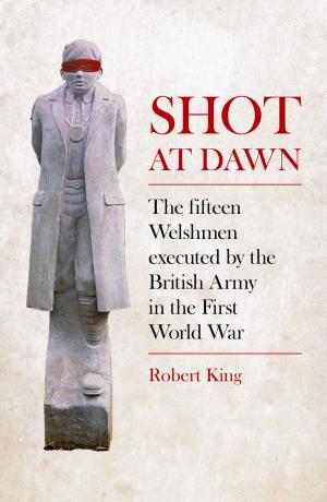 Cover of the book Shot at Dawn by Jason Hollis