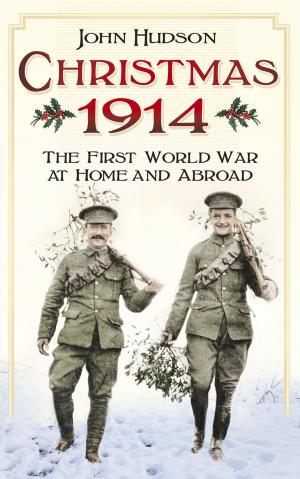 Book cover of Christmas 1914: The First World War at Home and Abroad