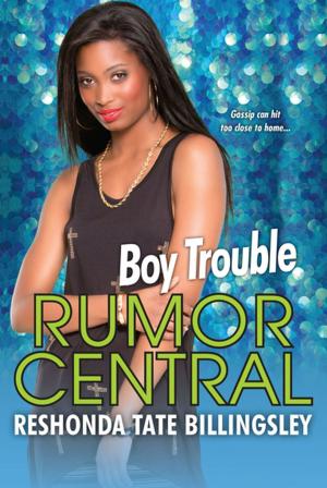 Book cover of Boy Trouble