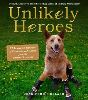 Cover of the book Unlikely Heroes by Anne Byrn