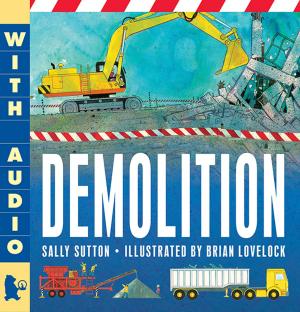 Cover of the book Demolition by Megan McDonald