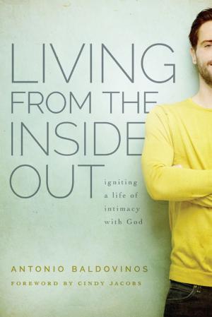 Cover of the book Living From the Inside Out by Ryan Phillips